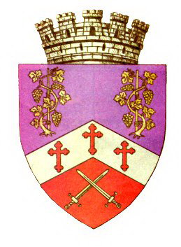 Anvelope Drăgășani