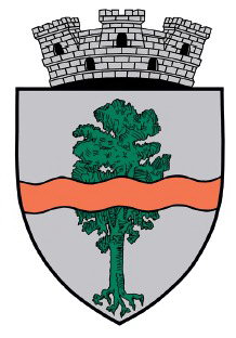 Anvelope Pucioasa
